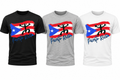 PR Grunge Flag  W Taino Coqui